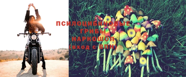 тгк Алексеевка