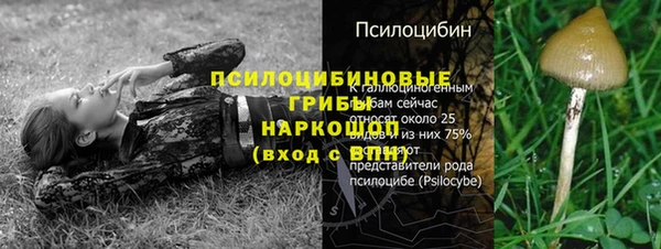 амф Алексин