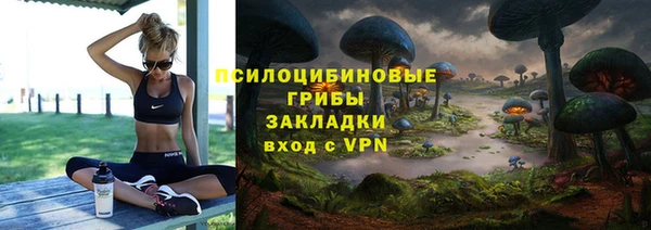 амф Алексин