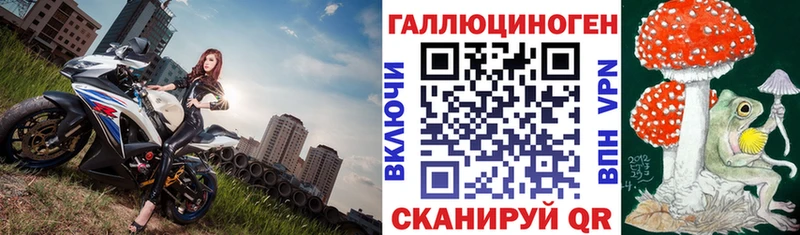 Псилоцибиновые грибы прущие грибы  Почеп 