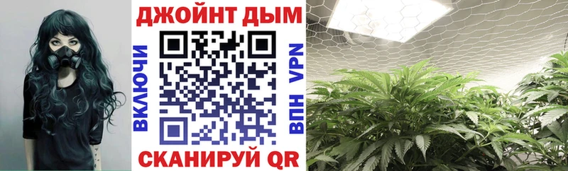 хочу наркоту  Почеп  OMG ссылка  МАРИХУАНА план 